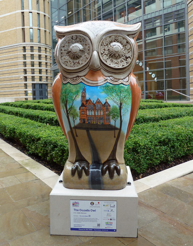 The Oozells Owl